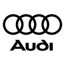 Audi Fitment