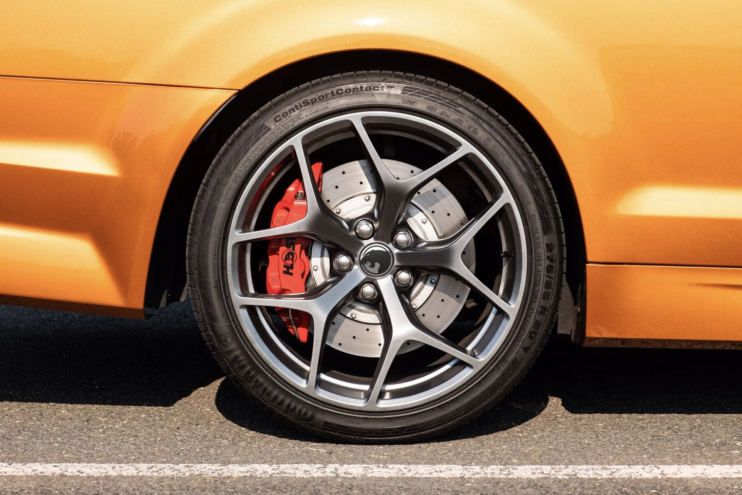 GTS-8 HSV Maloo GTS-R vehicle image 5